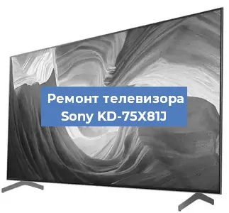 Ремонт телевизора Sony KD-75X81J в Новосибирске